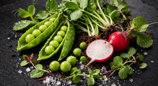 juenes pousses pois et radis